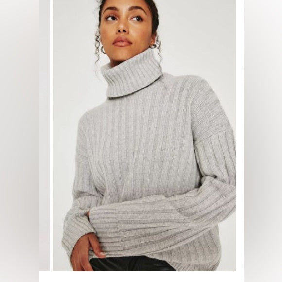 REDUCED!! AG The Dover chunky ribbed boxy turtleneck! Size S